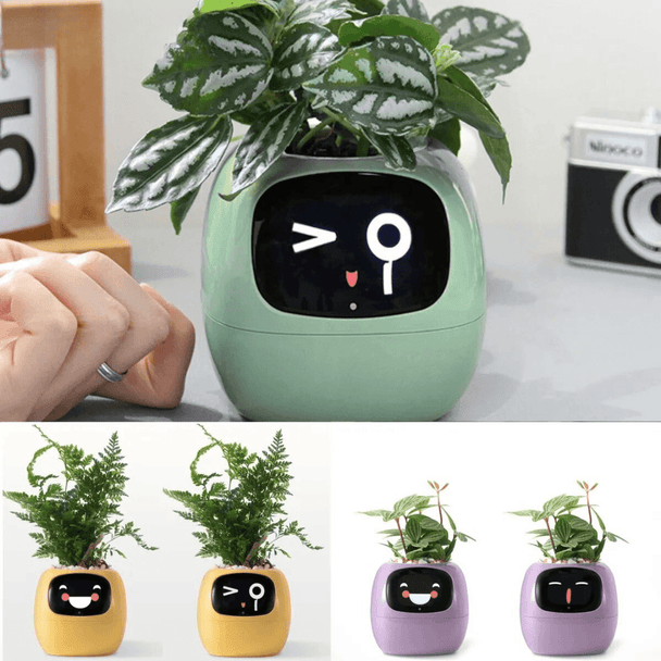 Pot de Fleurs Intelligent avec Capteurs et Expressions Interactives - InnoMonde