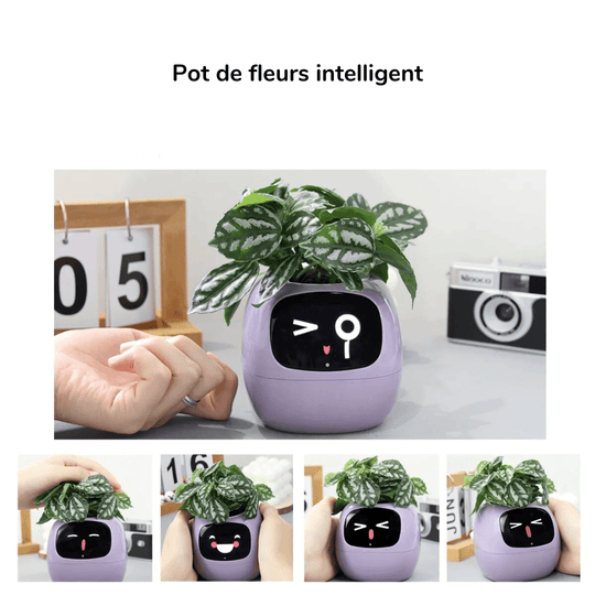 Pot de Fleurs Intelligent avec Capteurs et Expressions Interactives - InnoMonde