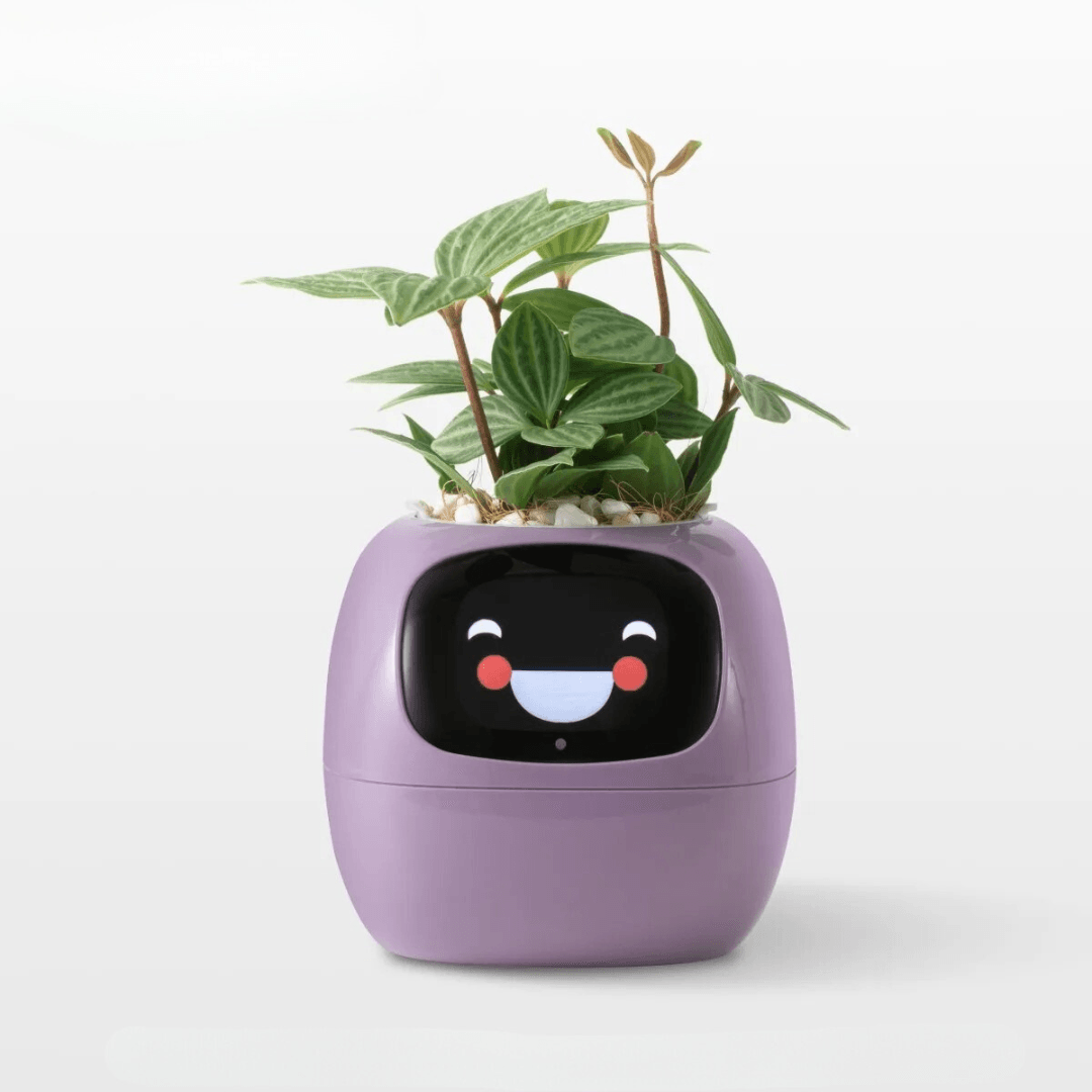 Pot de Fleurs Intelligent avec Capteurs et Expressions Interactives - InnoMonde